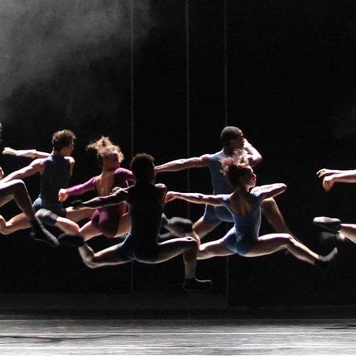 NSCD students secure work with Black Box Dance Company
