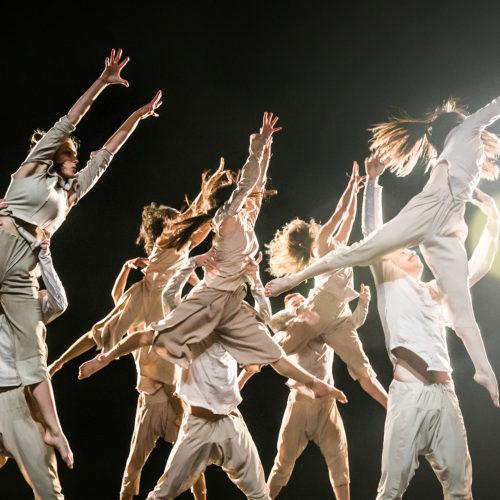 TRANSITION TO PROFESSIONAL PRACTICE