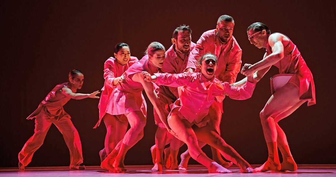 Professional placement companies announced for 2022/23