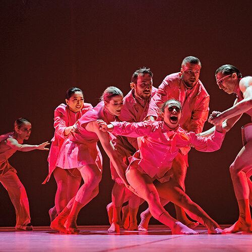 Professional placement companies announced for 2022/23