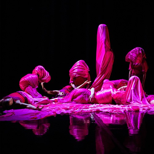 Group of dancers in pink costumes against black background 