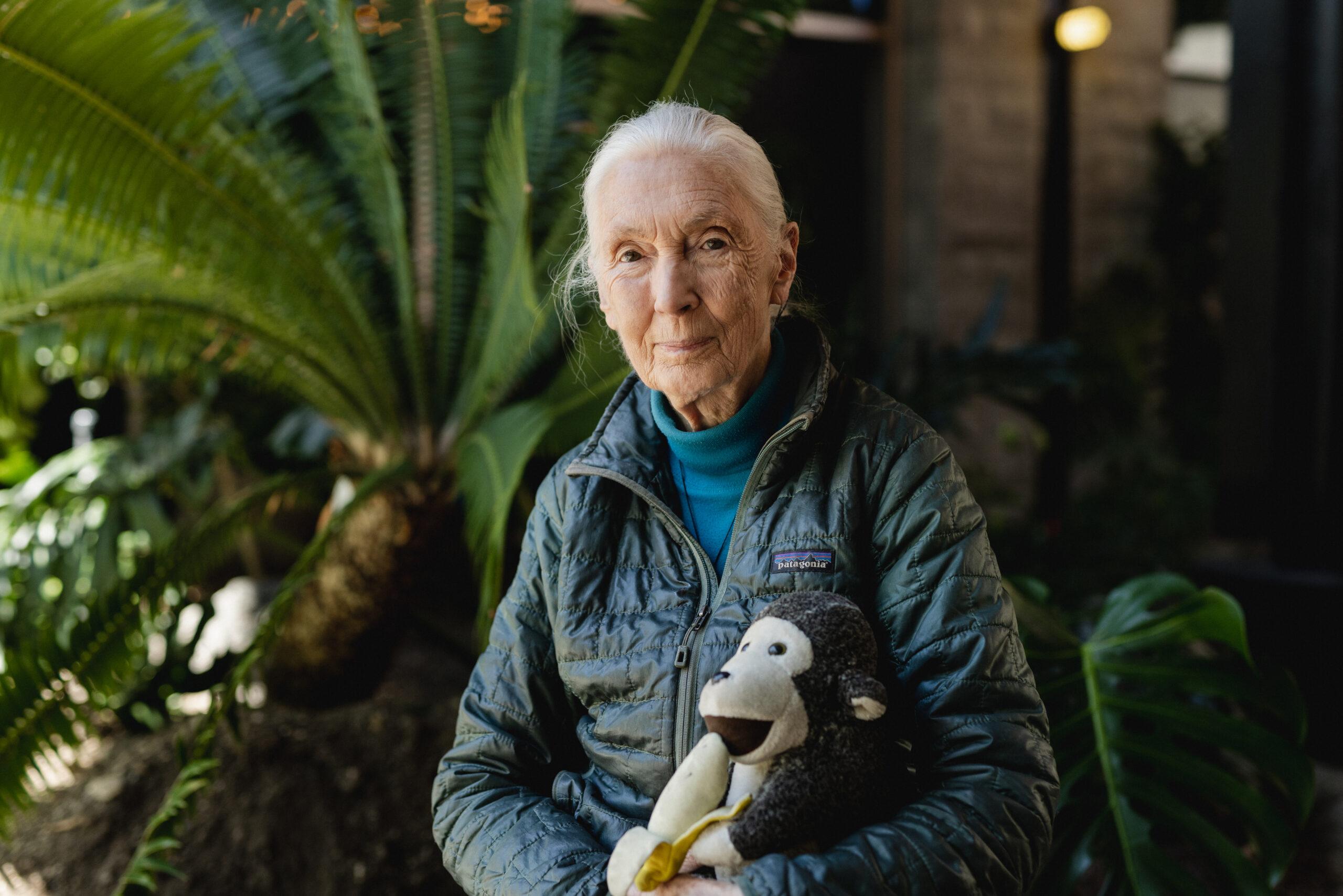 Jane Goodall