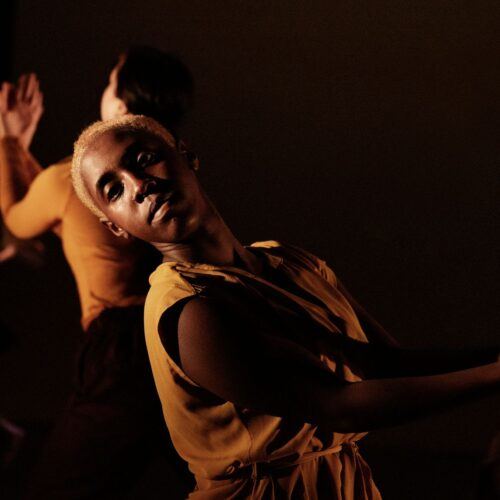 CERTIFICATE OF HIGHER EDUCATION (CERTHE) IN DANCE