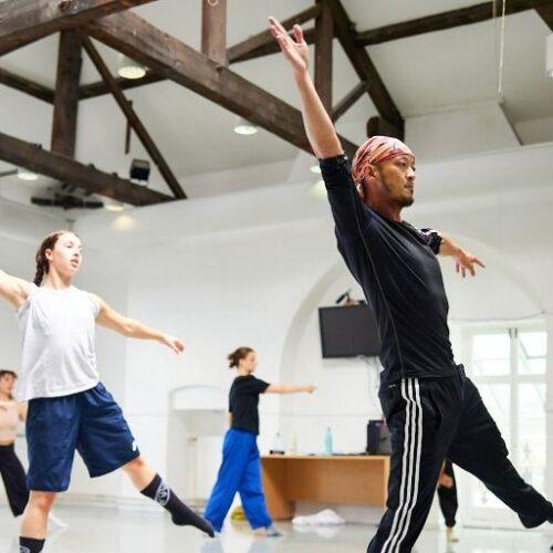 MA PROFESSIONAL DANCE PEDAGOGY