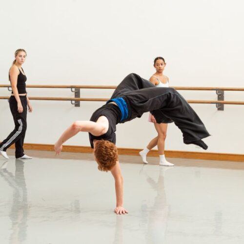 FEES & FINANCE: CERTHE