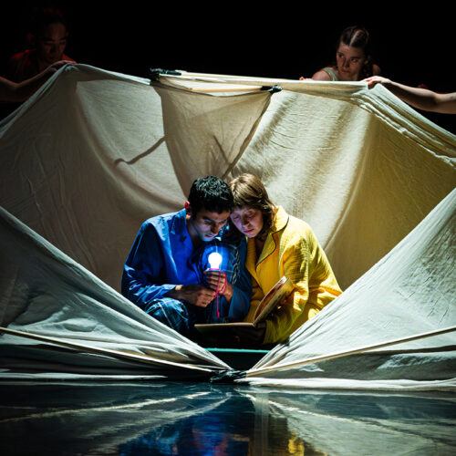 MA INTERDISCIPLINARY PERFORMANCE