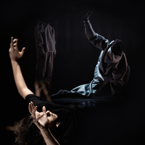 VERVE x Equilibrio Dinamico