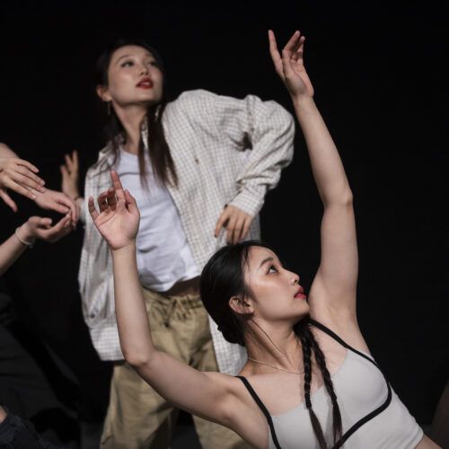 English Language for UK Dance Study