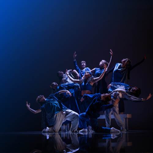 Meet the IN FOCUS 2026 choreographers